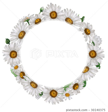 Wildflower chamomile flower wreath in a watercolor 30140375