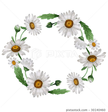 Wildflower chamomile flower wreath in a watercolor Wildflower chamomile flower wreath in a watercolor 30140460