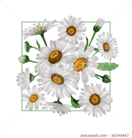 Wildflower chamomile flower in a watercolor style 30140467