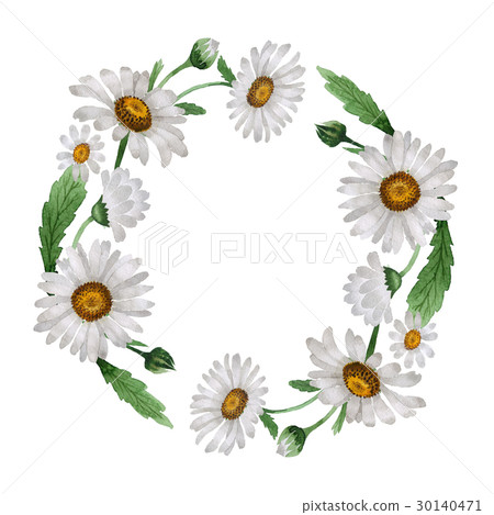 Wildflower chamomile flower wreath in a watercolor Wildflower chamomile flower wreath in a watercolor 30140471