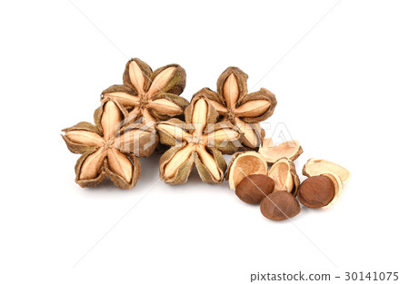 sacha inchi peanut seed on white background sacha inchi peanut seed on white background 30141075