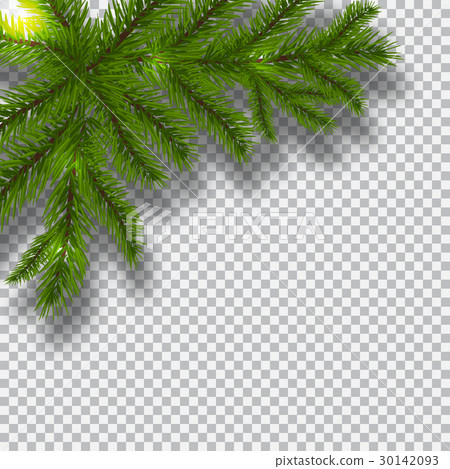 Green branches of a Christmas tree on a checker 30142093
