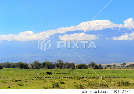 Snow on top of Mount Kilimanjaro Snow on top of Mount Kilimanjaro 30142185