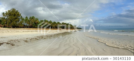 Beautiful palm trees at the beach 30143110