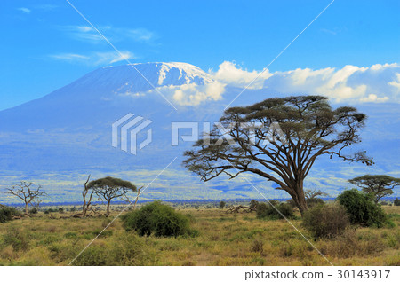 Kilimanjaro 30143917