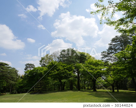 Terrigo Yato Garden的草坪和樹木 Terrigo Yato Garden的草坪和樹木 30144024