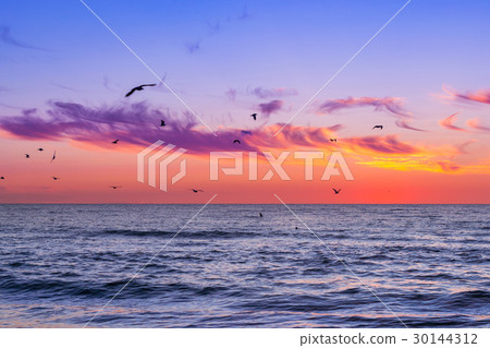 Flock of seagulls flying over pedestrian pier 30144312