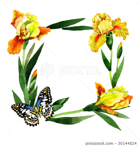 Wildflower iris flower frame in a watercolor style 30144824