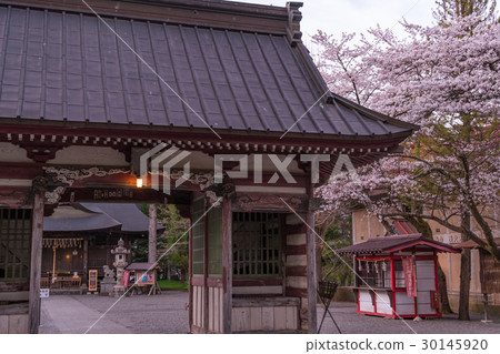 Japanese Spring World Cultural Heritage, Asama Shrine Scenery (Cherry Blossom View) 30145920