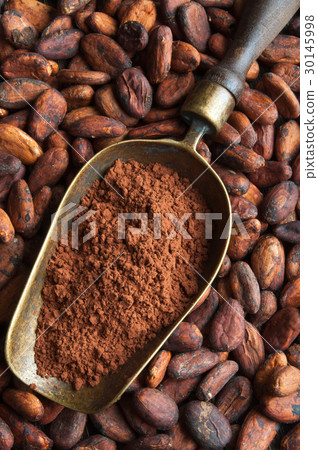 cocoa beans and retro scoop with cocoa powder 30145998
