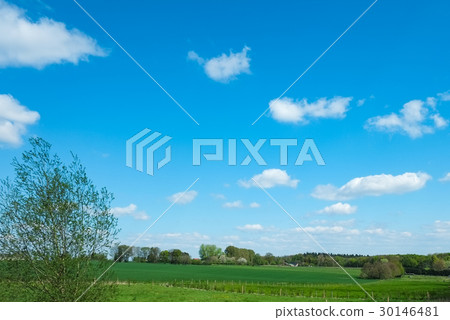 Suburban meadow 30146481