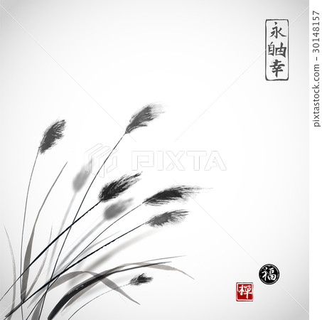 Grass on meadow hand drawn with ink on white 30148157