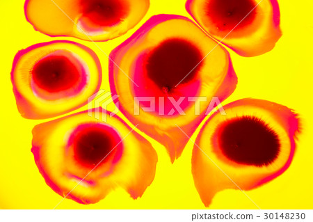 abstract background. red and yellow mixed acrylic 30148230