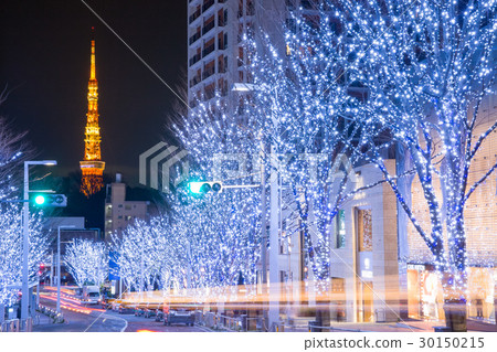 Tokyo Tower _ Winter's Keyakizaka Tokyo Tower _ Winter's Keyakizaka 30150215