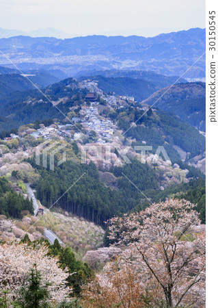 Yoshinoyama Yoshinoyama 30150545