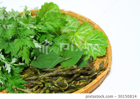 Picker Picker 30150814