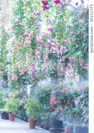 Nabana no Sato 30151573