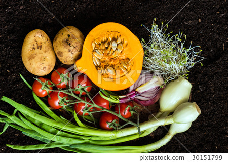 fresh organic vegetables 30151799