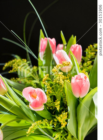 spring flowers 30151906