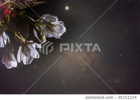 櫻花和銀河系 30152224