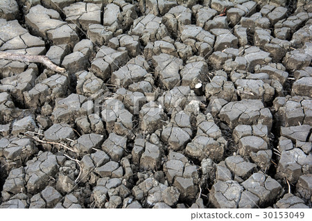 Dry soil texture for background. Dry land. 30153049
