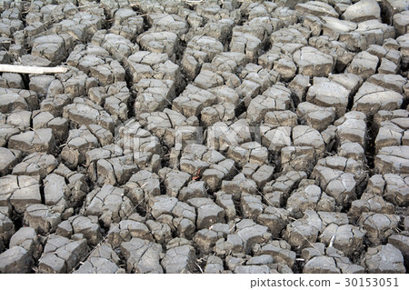 Dry soil texture for background. Dry land. 30153051