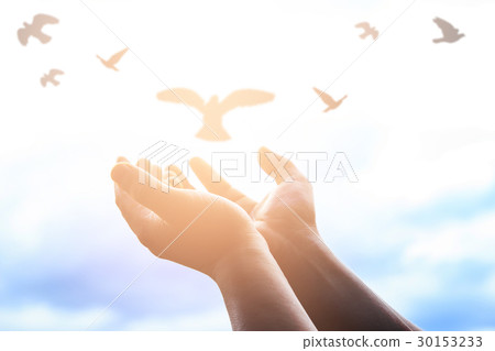 Human hands open palm up worship. 30153233