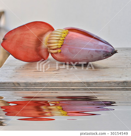 Banana flower 30154549