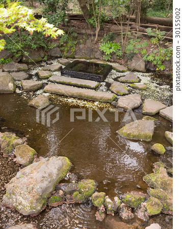 Inokashira Park Ochanomizu Inokashira Park Ochanomizu 30155002