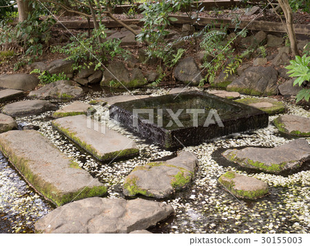 Inokashira Park Ochanomizu 30155003