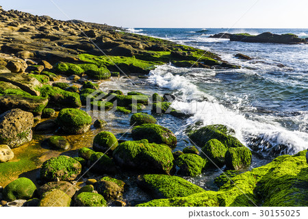 Coastal stone with algae in New Taipei, Taiwan Coastal stone with algae in New Taipei, Taiwan 30155025