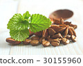 spearmint wooden coffee beans anise retro 30155960