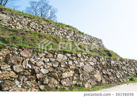 Tsukiyama Tomitajo Ishigaki 30156056