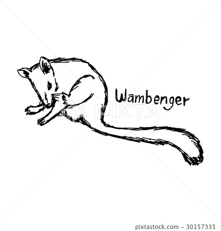 wambenger - vector illustration wambenger - vector illustration 30157335