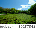 Nakamachi-dai, Seseragi Park 30157542