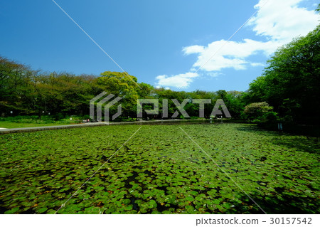 Nakamachi-dai, Seseragi Park Nakamachi-dai, Seseragi Park 30157542