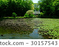Green park 30157543