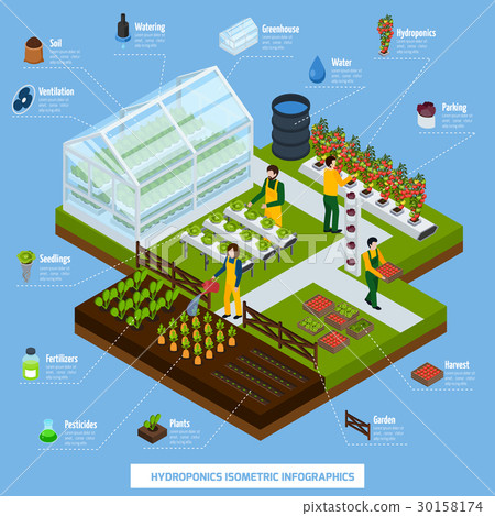 Hydroponics And Aeroponics Infographic Set Hydroponics And Aeroponics Infographic Set 30158174