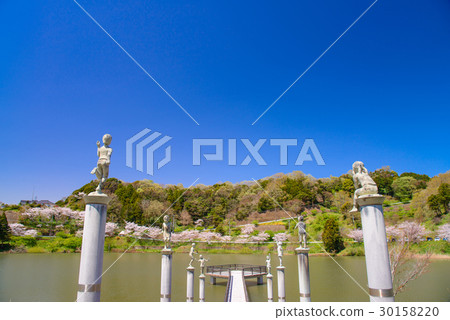 [Chiba Prefecture] Sakuma Dam Lake, Sakura and Statues of Water Park 30158220