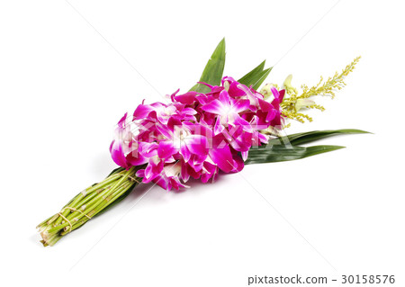 Violet orchid with pandan for Buddhist begging Violet orchid with pandan for Buddhist begging 30158576