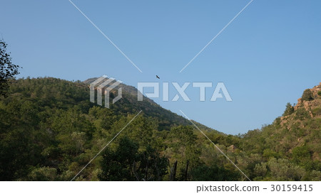 Arunachala 30159415