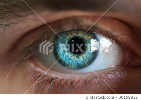 Beautiful male eye close-up 30159912