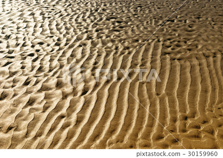 Yellow sand sea beach after the tide on a day 30159960