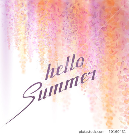 summer background with blooming wisteria summer background with blooming wisteria 30160481