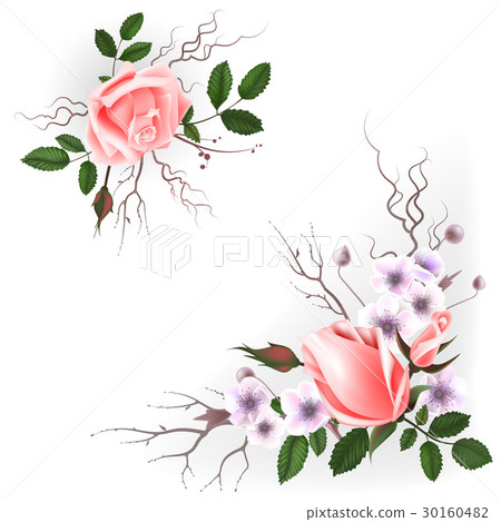 Bouquet of pink roses Bouquet of pink roses 30160482