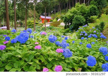 kyoto, domestic travel, rainy season 30161297