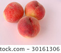 桃子 30161306
