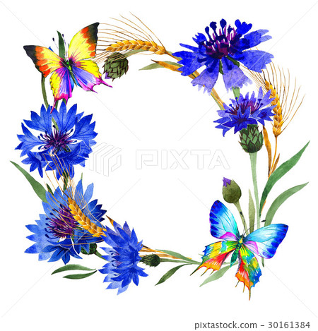 Wildflower carnation flower frame in a watercolor 30161384