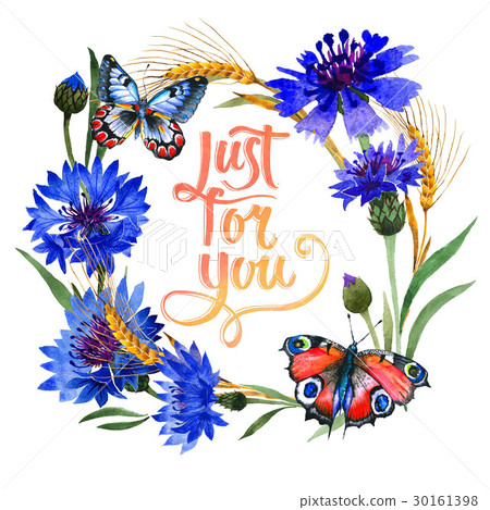 Wildflower carnation flower frame in a watercolor 30161398