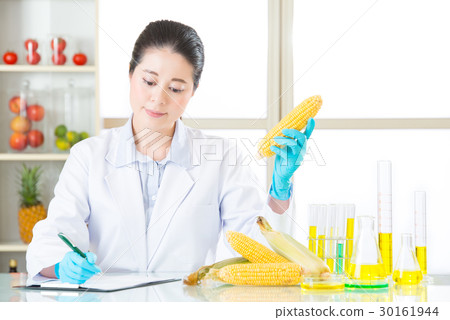 recording data of test result from gmo sugar corn 30161944